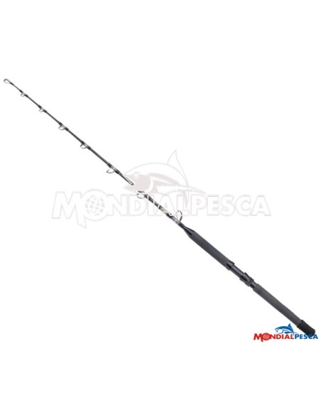 NEW SHIMANO TYRNOS B STAND UP SPIRAL