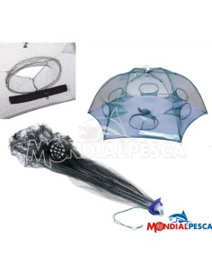 NASSA OMBRELLO 2