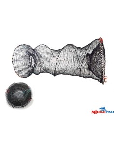 NASSA 2