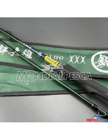 NEW YAMASHITA EGIDO EI 2024