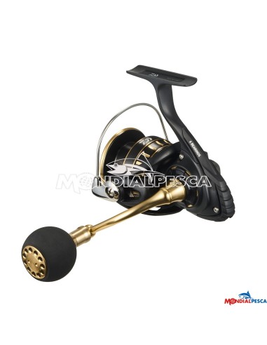 DAIWA 23 BG SW NEW