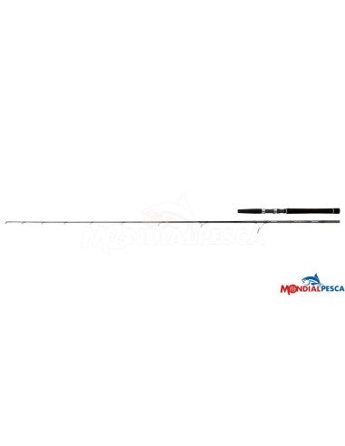 DAIWA SALTIST INSHORE