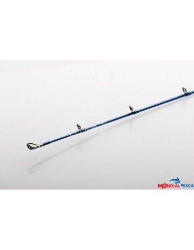 CANNA SAVAGE GEAR SGS2 SLOW JIGGING 6'4"