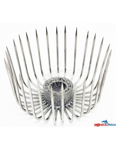 CORONE NEW 2025 CORONE NEW 2025