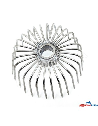 CORONE NEW 2025 CORONE NEW 2025