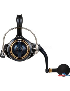DAIWA 25 SALTIGA 2