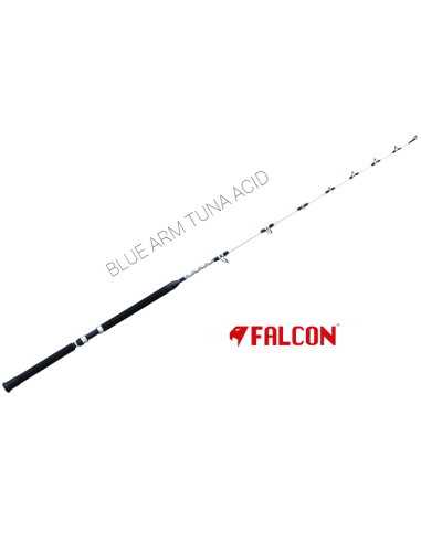 COMBO MULINELLO SHIMANO TYRNOS 30+...