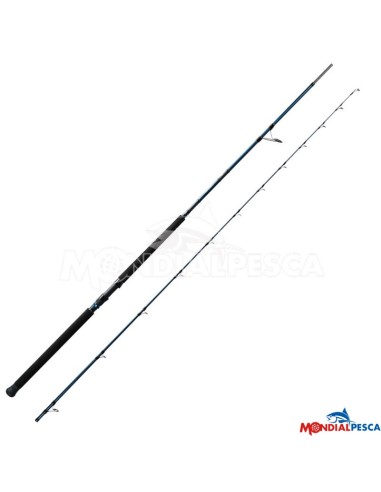 CANNA OKUMA F16 SHORE JIGGING