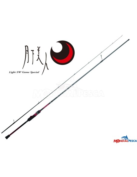 DAIWA 25 GEKKABIJIN X