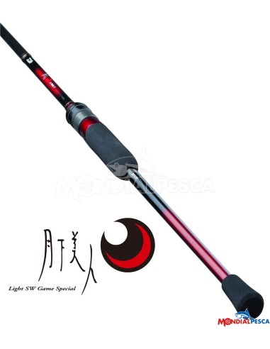 DAIWA 25 GEKKABIJIN X