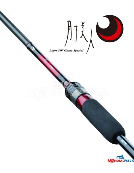 DAIWA 25 GEKKABIJIN X
