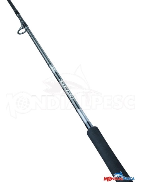 DAIWA CANNA 25 SALTIST X SJ