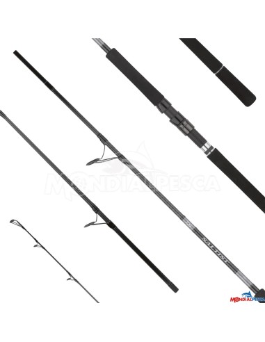 DAIWA CANNA 25 SALTIST X SJ