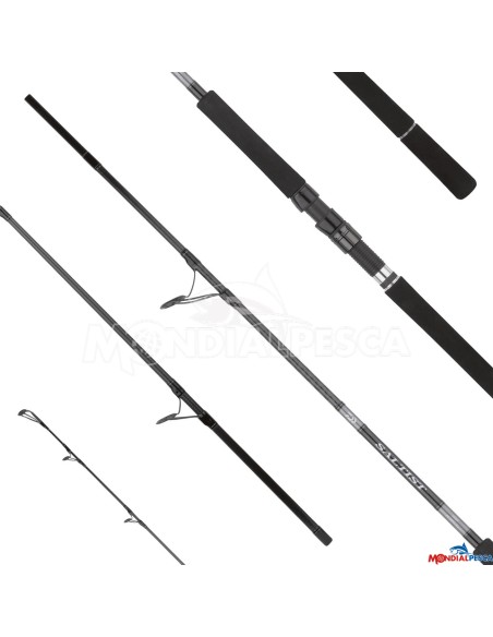 DAIWA CANNA 25 SALTIST X SJ