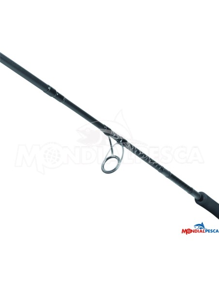 DAIWA CANNA 25 SALTIST X SJ