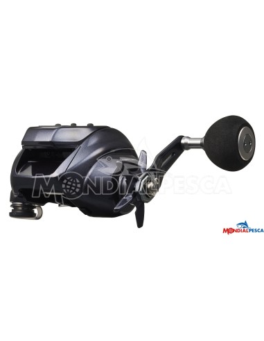 DAIWA LEOBRITZ 300J-L (E) + FILO OMAGGIO