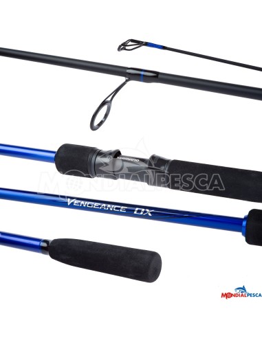 VENGEANCE DX SEA BASS SPINNING