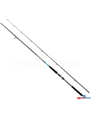 BASSTERRA XT SHORE JIGGING