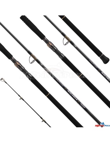 CANNA 26 SALTIGA C BULLSWING