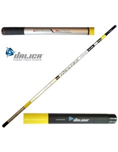 CANNA ITALICA FORTEXA SILVER LIGHT 6,00M NUDA