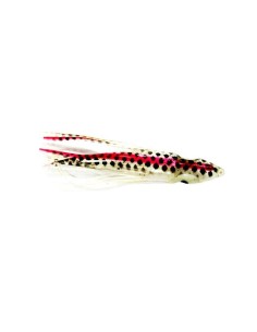 ORCA OCTOPUS MM88 5PEZZI 068