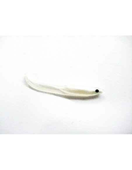 MIURA SILICON FISH MM70 5PEZZI W22