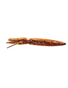 YAMASHITA SQUID BAIT CM18 KAJIKI-27