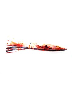 YAMASHITA SQUID BAIT CM16 KAJIKI-4